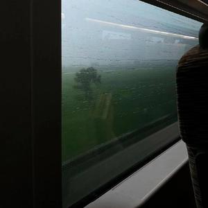 美女裸体被操在线观看
